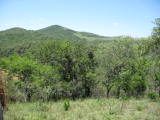 safrica/IMG_0179 (WinCE).JPG